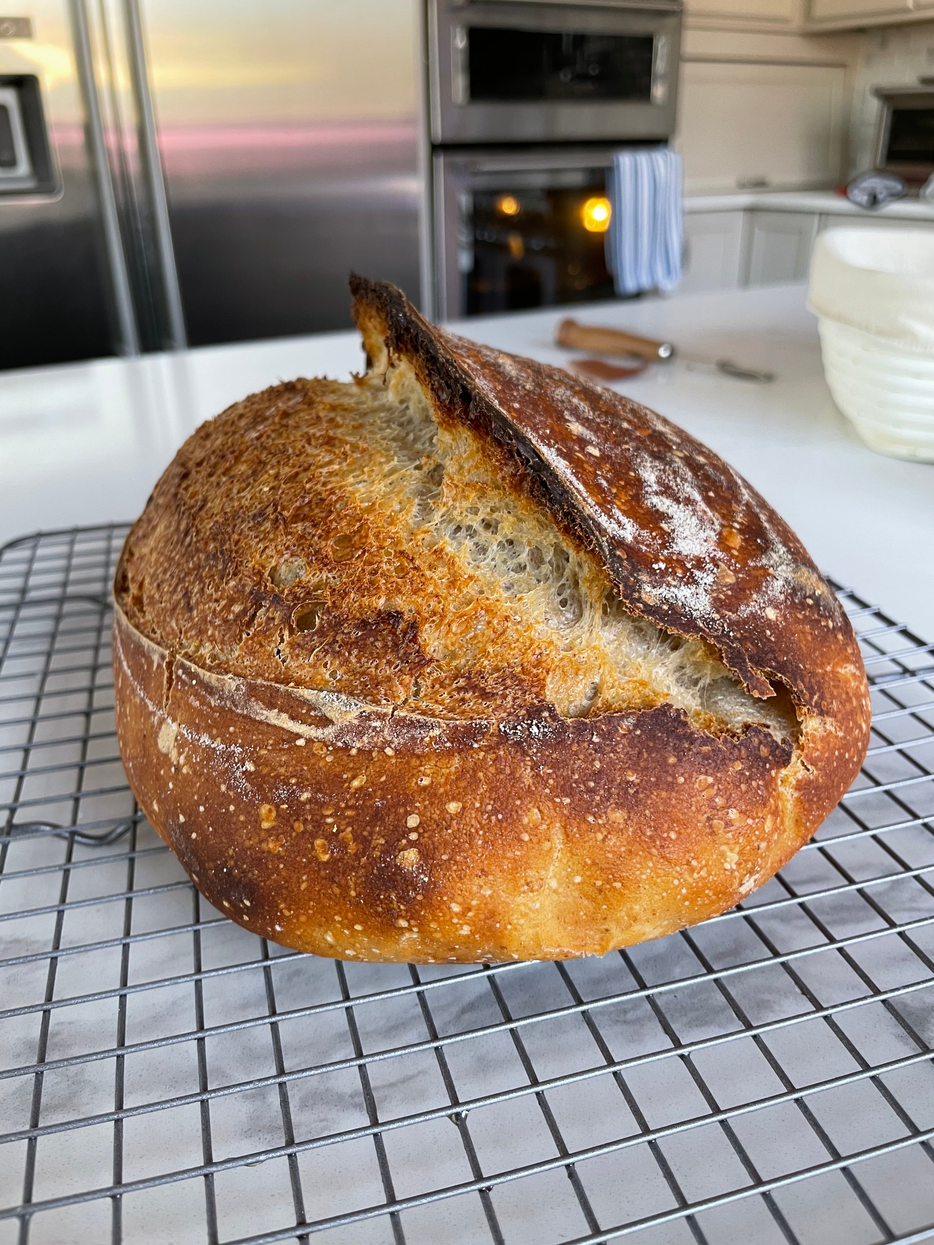 Country Sourdough Loaf